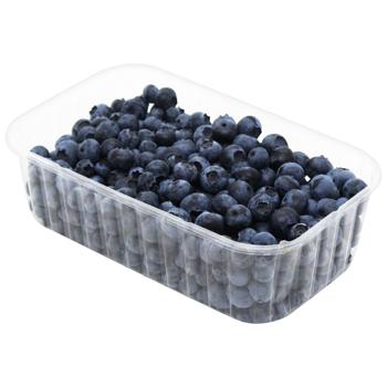 Blueberry - buy, prices for EKO Market - photo 3