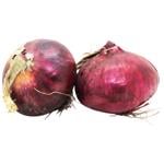 Young Blue Onion