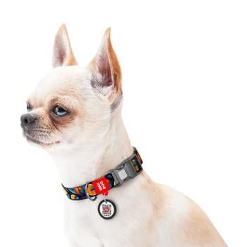 Waudog Nylon Dog Collar with QR Passport 28-40cm/20mm with Design of Oranges - buy, prices for MasterZoo - photo 3