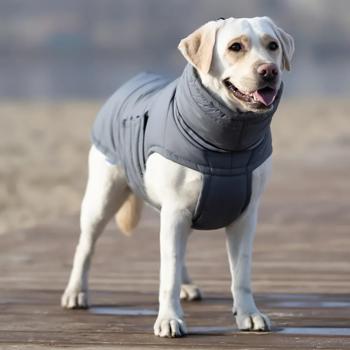 Пуховик для собак Noble Pet Bobby р.6XL сірий - купити, ціни на MasterZoo - фото 7