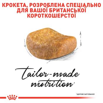 Корм сухой Royal Canin Adult для кошек породы британская короткошерстная 3,2кг+800г - купить, цены на MasterZoo - фото 3
