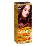 AVENA Shine Color 066 Truffle Chestnut Permanent Cream Hair Dye