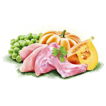 Food Brit turkey pumpkin 400g can Czech republic - buy, prices for MasterZoo - photo 2