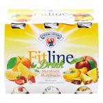 Sterzing Vipiteno Fitline Multifruit Fermented Milk Drink 6x90ml
