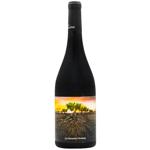 Vintae La Garnacha Olvidada de Aragon Red Dry Wine 15% 0.75l