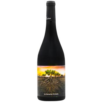 Вино Vintae La Garnacha Olvidada de Aragon червоне сухе 15% 0,75л - купити, ціни на WINETIME - фото 1