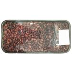 Квасоля кольорова Україна