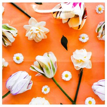 Пакет подарунковий 24х23х10см в асортименті - купити, ціни на КОСМОС - фото 8