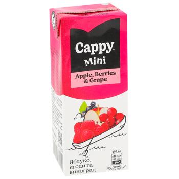 Cappy Mini Berries-Grapes-Apple Nectar 200ml - buy, prices for METRO - photo 2