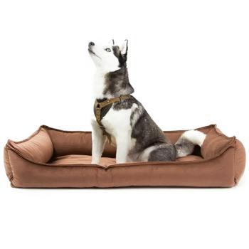 Sunbed Petbed - buy, prices for MasterZoo - photo 3