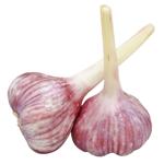 Young Garlic