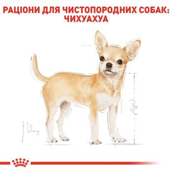 Корм влажный Royal Canin Adult с домашней птицей для собак породы чихуахуа 9+3шт*85г - купить, цены на MasterZoo - фото 4