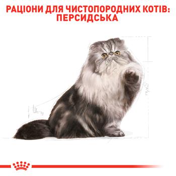 Сухий корм для дорослих котів перської породи Royal Canin Persian Adult 2 кг - домашня птиця - купити, ціни на MasterZoo - фото 4