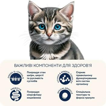 Home Food Dry Food with Chicken for Kittens 400g - buy, prices for MasterZoo - photo 5
