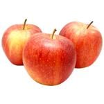 Apple Gala Dniester Gardens