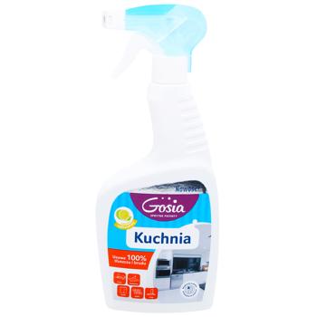 Gosia Kitchen Cleaner 500ml - buy, prices for - photo 1