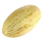 Диня Узбецька