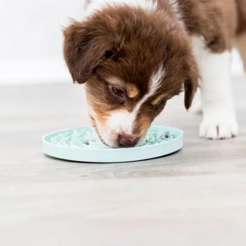 Trixie Junior Blue Slow Feeding Mat 15cm - buy, prices for MasterZoo - photo 5