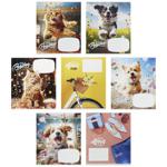 Shkolyaryk Notebook in Line 18 sheets in assortment