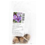 Клубнелуковица шафрана Сативус 4шт