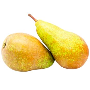 Conference Pear