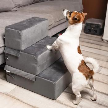 Pet fun for claw - buy, prices for MasterZoo - photo 5