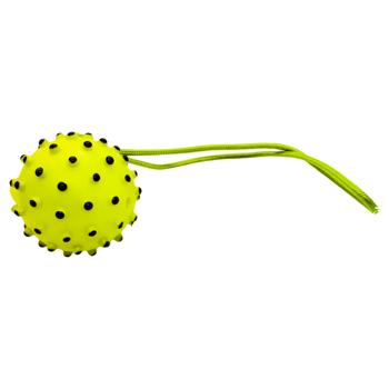 Spiked Ball with Rope Toy for Dogs 36cm - buy, prices for - photo 3