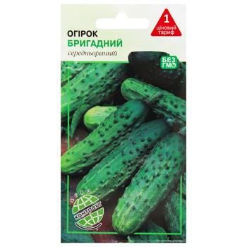 Agrokontrakt Cucumber Brigade Seeds 1g - buy, prices for MegaMarket - photo 1