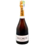 Вино ігристе Vallformosa Reserva Col Leccio Brut Nature біле брют 12% 0,75л