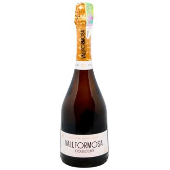 Vallformosa Reserva Col Leccio Brut Nature White Brut Sparkling Wine 12% 0.75l - buy, prices for WINETIME - photo 1