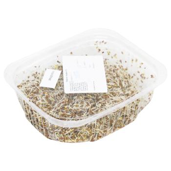 Alfalfa Microgreens 50g - buy, prices for MasterZoo - photo 2