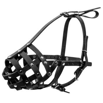 Collar Hard Leather Muzzle 32cm/11cm Black - buy, prices for MasterZoo - photo 1