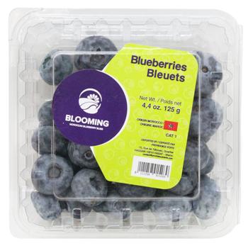 Blueberries 125g - buy, prices for NOVUS - photo 7