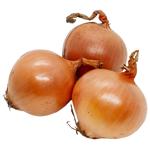 Цибуля ріпчаста перший сорт