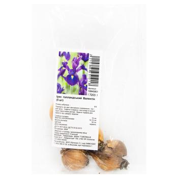 Dutch Iris Valentine Bulbs 5pcs - buy, prices for ULTRAMARKET - photo 1