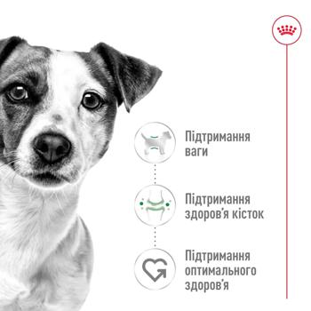 Корм сухий Royal Canin з домашньою птицею для дорослих собак малих порід 2кг - купити, ціни на MasterZoo - фото 2