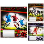 Mriyi zbuvayutʹsya Notebook in cell 12 sheets in stock