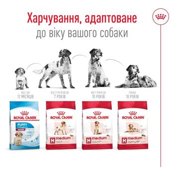 Корм сухий Royal Canin Medium Adult з домашньою птицею для собак середніх порід 3кг - купити, ціни на MasterZoo - фото 4