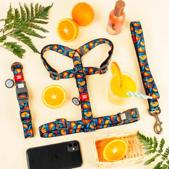 Waudog Nylon Dog Collar with QR Passport 33-49cm/25mm with Design of Oranges - buy, prices for MasterZoo - photo 5