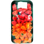 Bitter Habanero Pepper