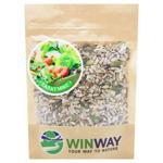 Winway Seeds Salad mix 100g