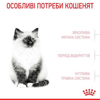 Набір корму Royal Canin для кошенят cухий 2кг + вологий 4шт х 85г - купити, ціни на MasterZoo - фото 5