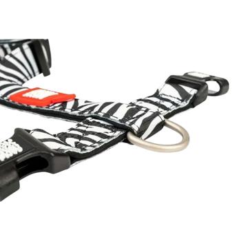 Leash Max and molly Germany - buy, prices for MasterZoo - photo 3