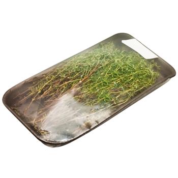 Тим'ян - купити, ціни на Cупермаркет "Харків" - фото 2