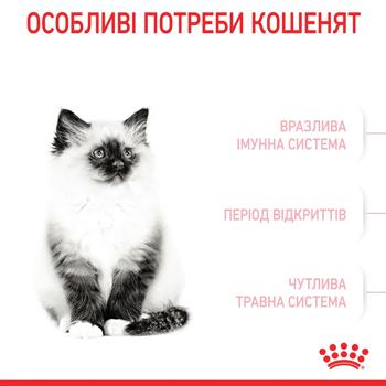Royal Canin Dry Food for Kittens 3.2kg+800g - buy, prices for MasterZoo - photo 3