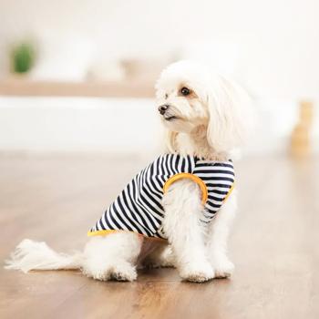 Pet Fashion Kale борцівка для собак M - купити, ціни на MasterZoo - фото 4
