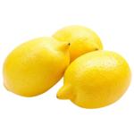 Lemon Turkey
