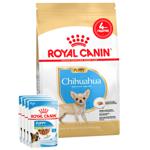 Royal Canin Food Set with Poultry for Chihuahua Puppies Dry 1.5kg + Wet 4pcs x 85g