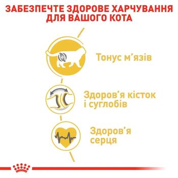Набір корму Royal Canin Adult для котів породи британська короткошерста cухий 2кг + вологий 4шт х 85г - купити, ціни на MasterZoo - фото 4