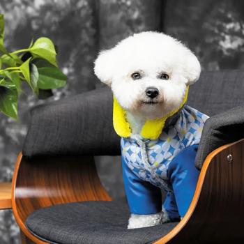 Костюм для собак Pet Fashion «Tender» M - купити, ціни на MasterZoo - фото 6